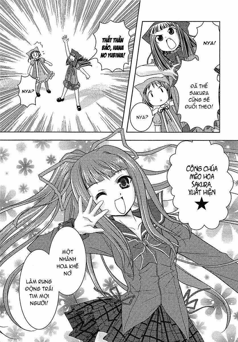 Sakura No Nekohime - Chapter 11 - Trang 10
