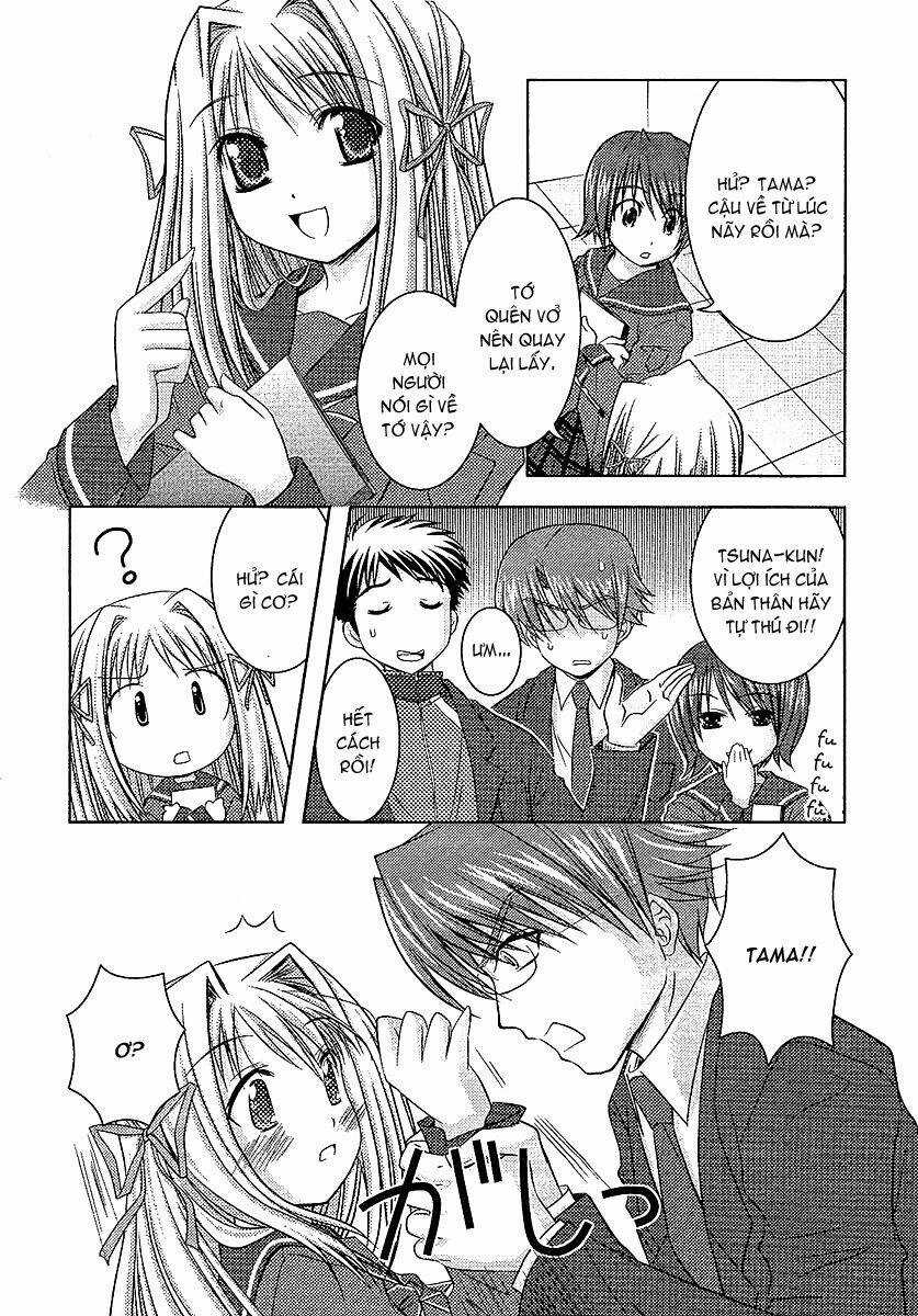 Sakura No Nekohime - Chapter 12 - Trang 4