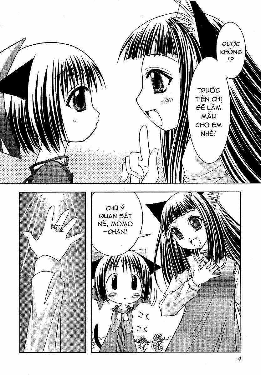 Sakura No Nekohime - Chapter 2 - Trang 6