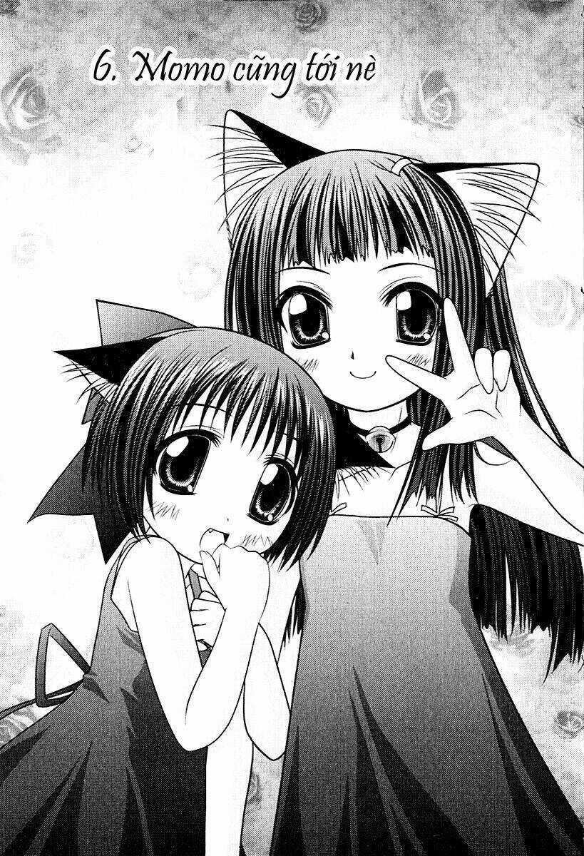 Sakura No Nekohime - Chapter 6 - Trang 1