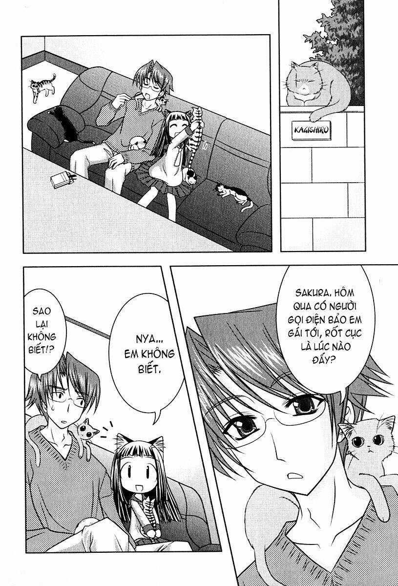 Sakura No Nekohime - Chapter 6 - Trang 2