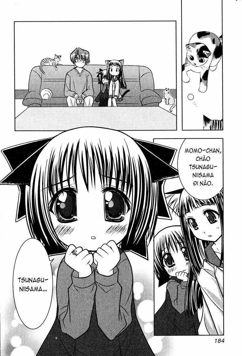 Sakura No Nekohime - Chapter 6 - Trang 24