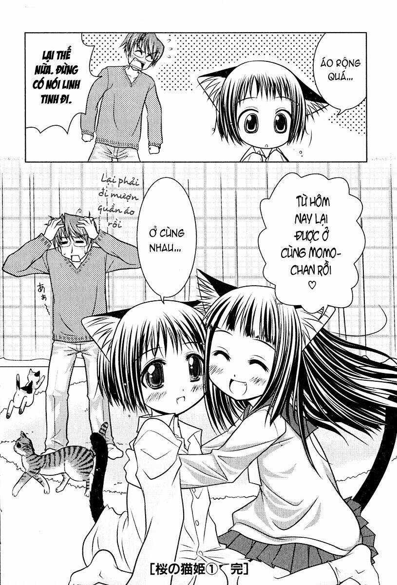 Sakura No Nekohime - Chapter 6 - Trang 28