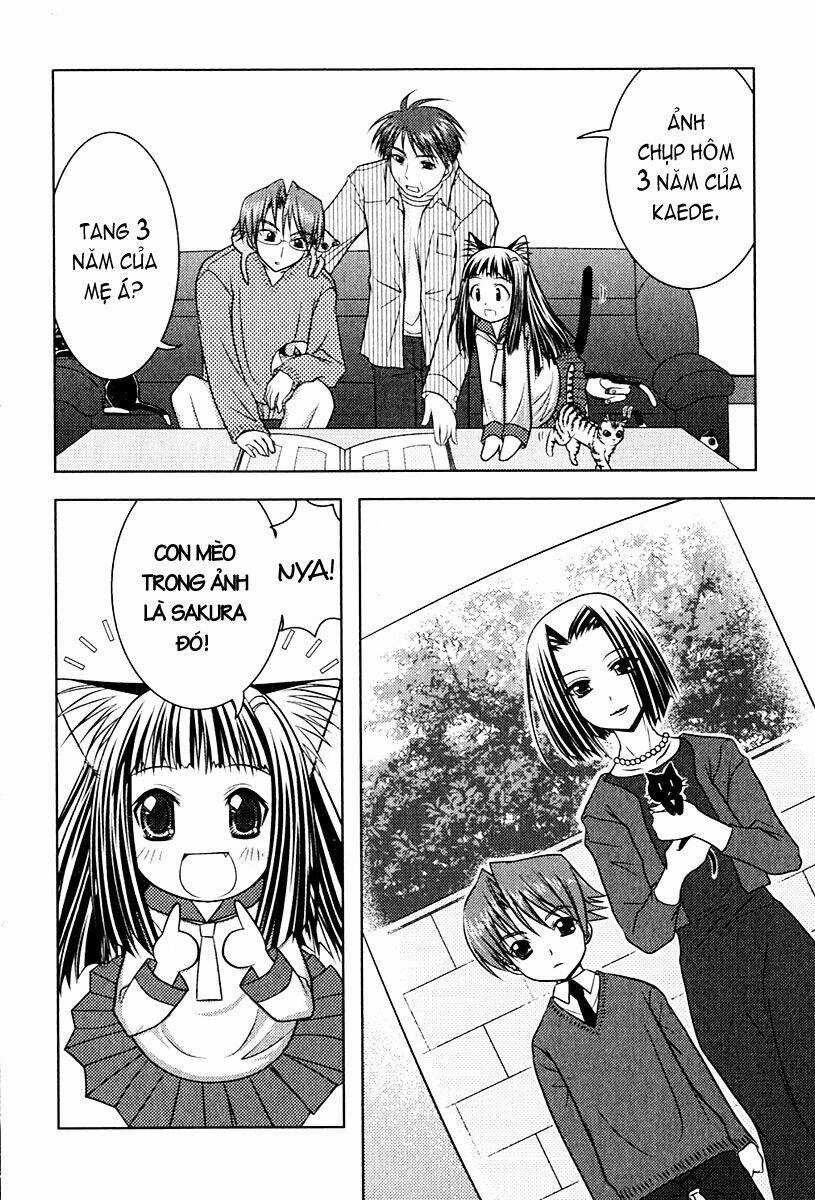 Sakura No Nekohime - Chapter 6 - Trang 4