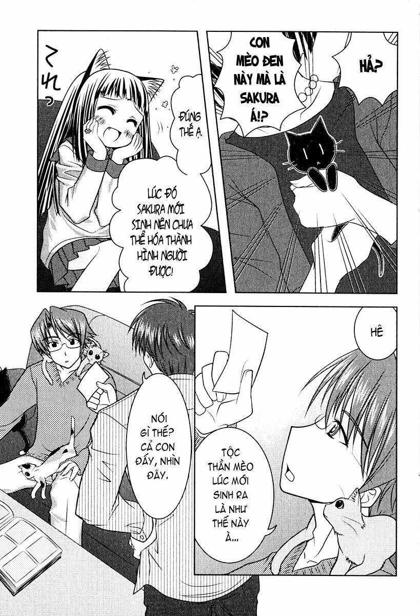 Sakura No Nekohime - Chapter 6 - Trang 5