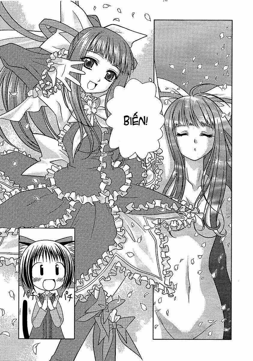 Sakura No Nekohime - Chapter 7 - Trang 7