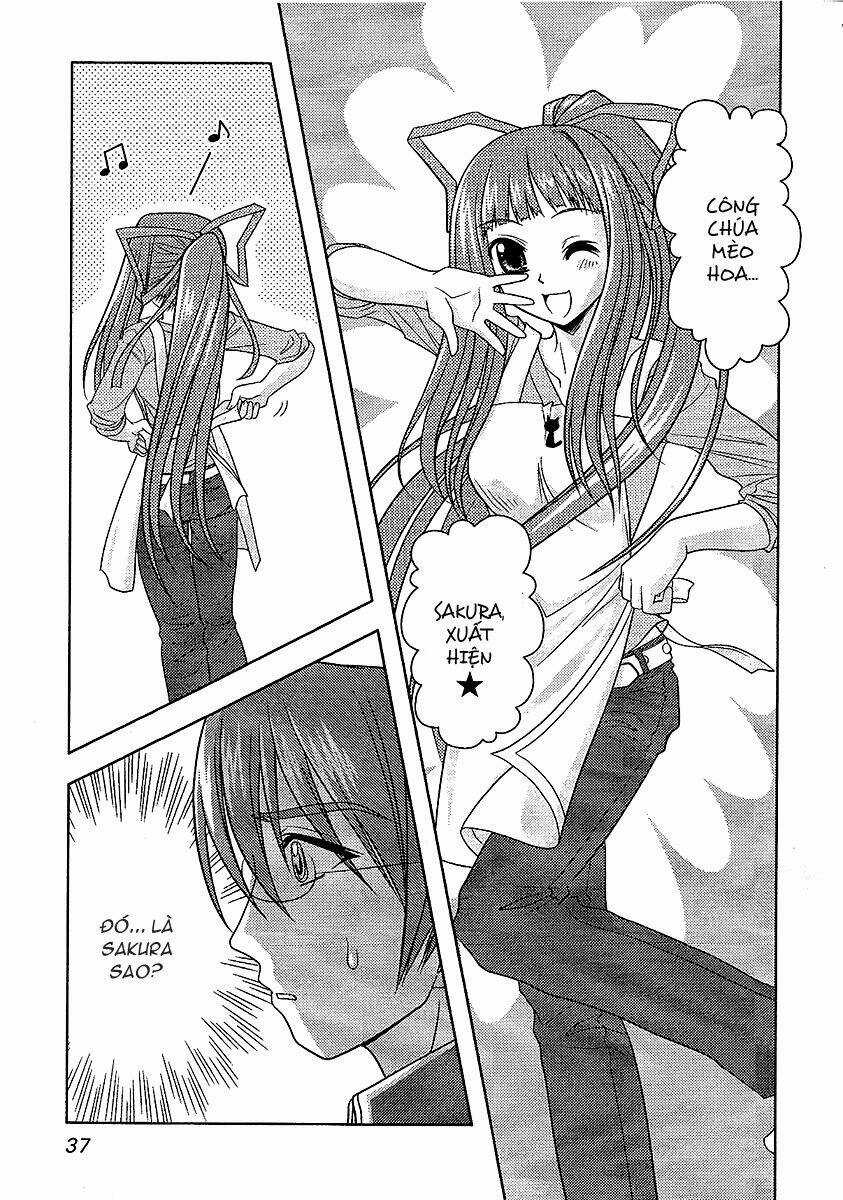 Sakura No Nekohime - Chapter 8 - Trang 11