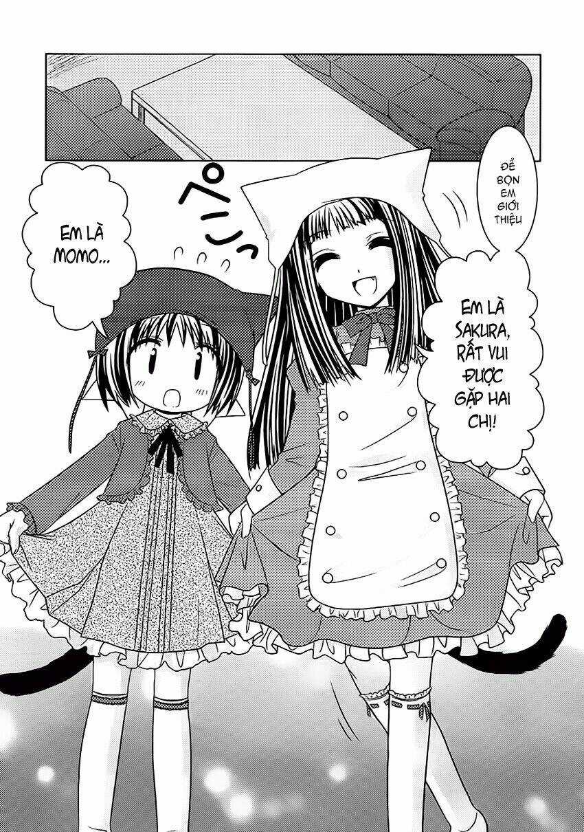 Sakura No Nekohime - Chapter 9 - Trang 7