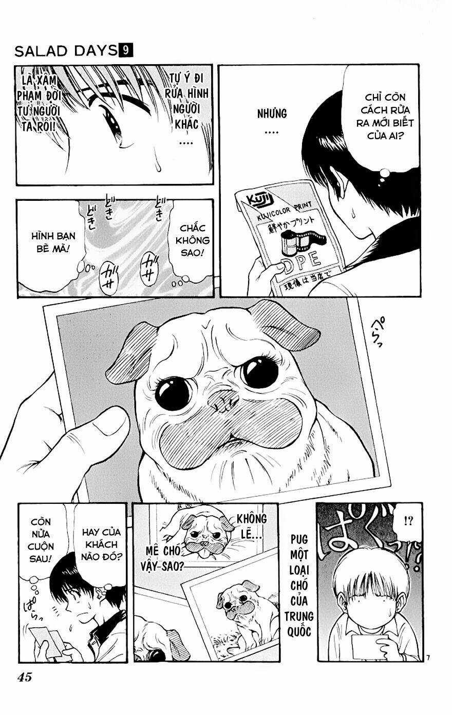 Salad Days - Chapter 71 - Trang 8