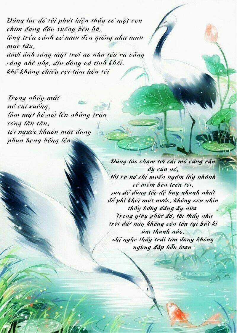 Sâm Sâm Dã - Chapter 1 - Trang 6