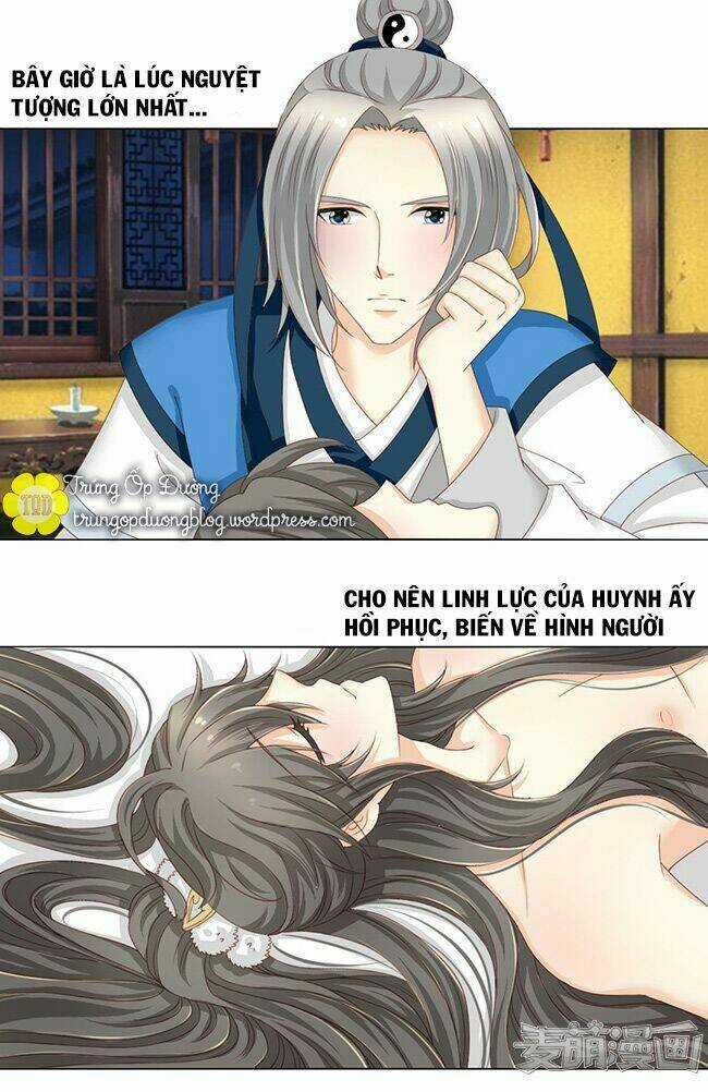 Sâm Vương Bị Tóm - Chapter 21 - Trang 4