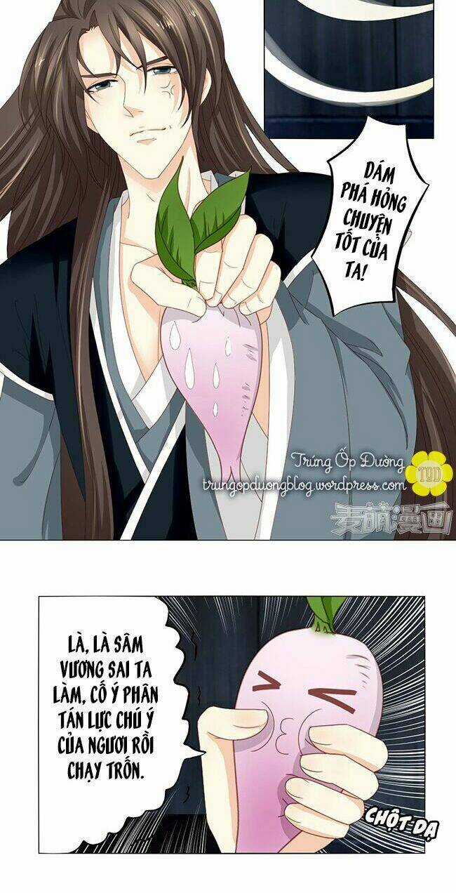 Sâm Vương Bị Tóm - Chapter 23 - Trang 11