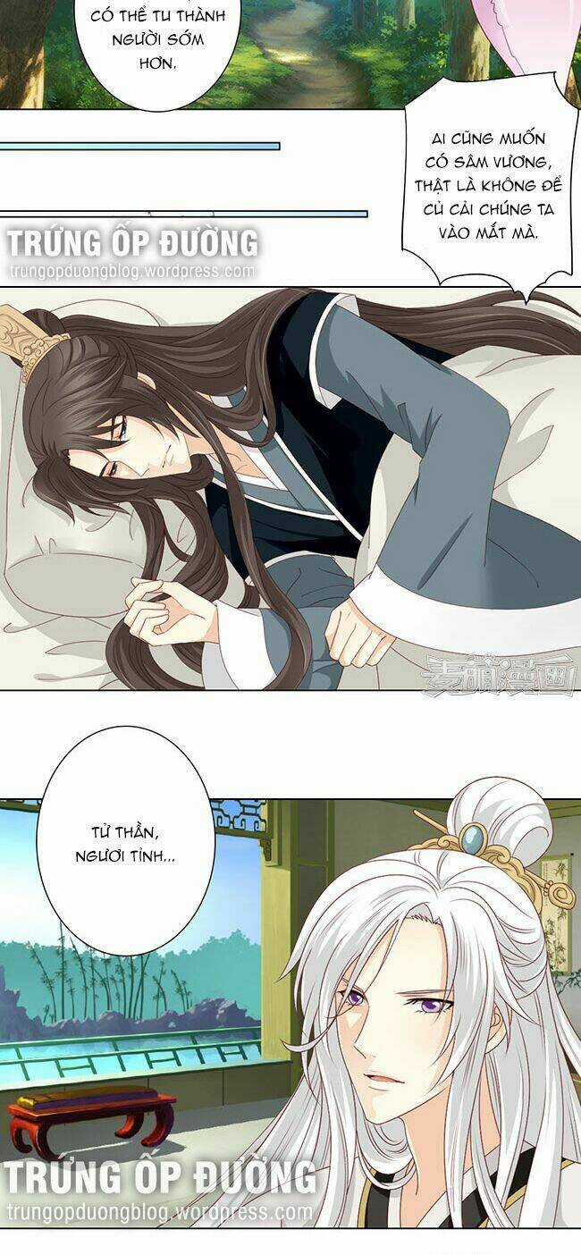 Sâm Vương Bị Tóm - Chapter 32 - Trang 12