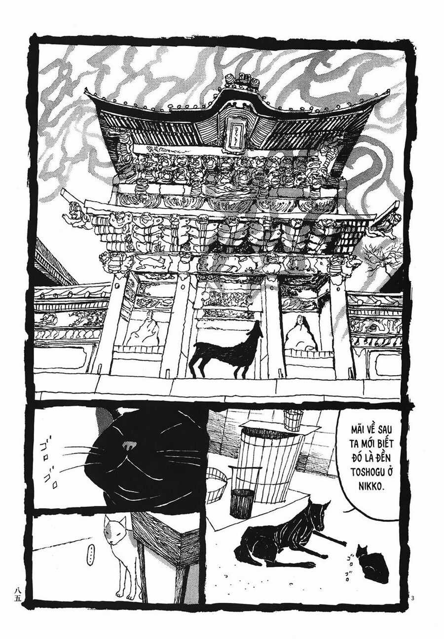 Samurai Kiếm Tre - Chapter 35 - Trang 4