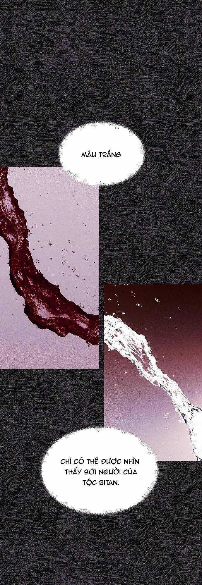 Săn Lùng Nữ Chúa - Chapter 27 - Trang 29