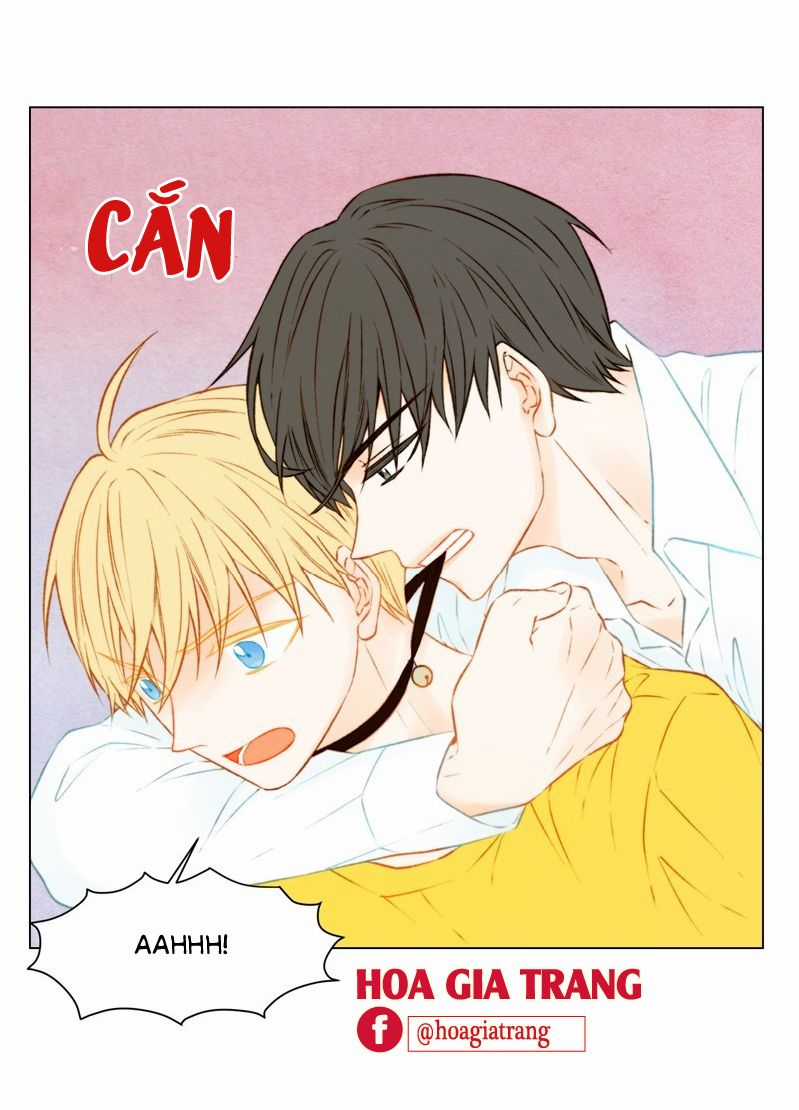 Sao Chép - Chapter 61 - Trang 47