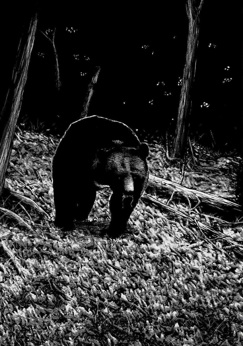 Sát Thủ Ẩn Dật - Chapter 83 - Trang 8