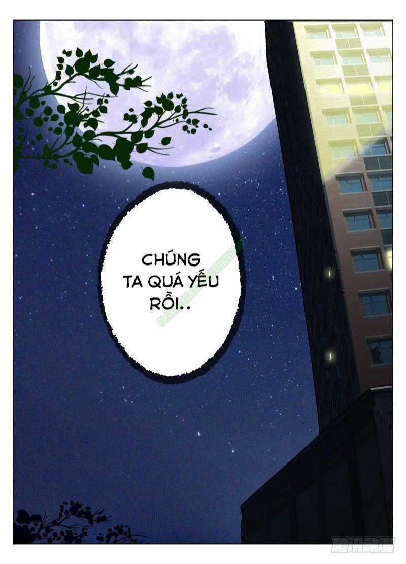 Sát Thủ Bạch Linh - Chapter 38 - Trang 15