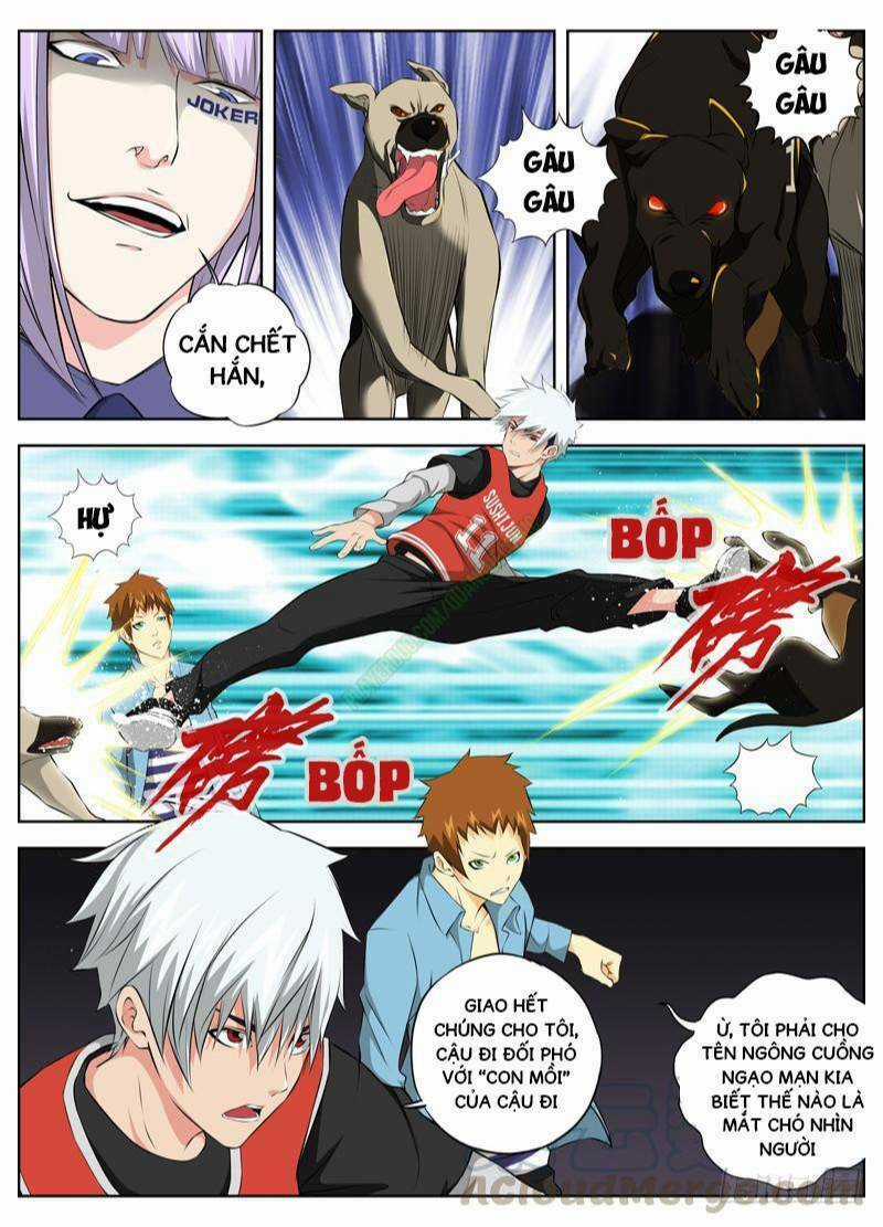 Sát Thủ Bạch Linh - Chapter 56 - Trang 10