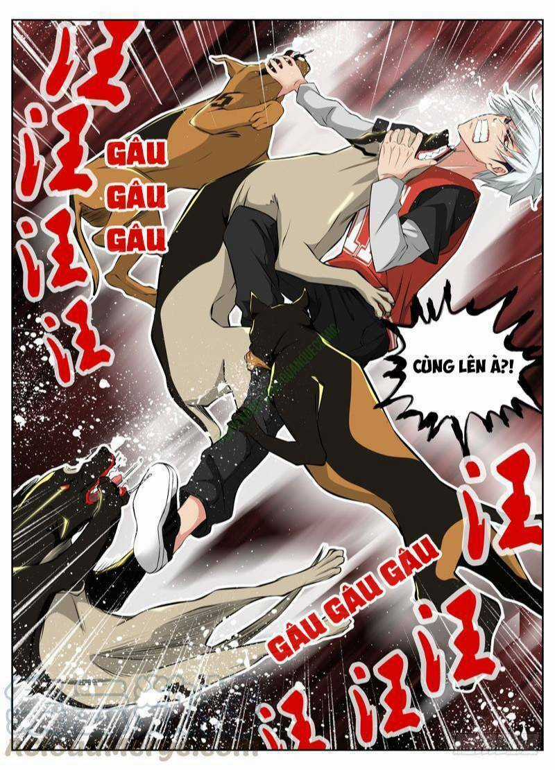 Sát Thủ Bạch Linh - Chapter 57 - Trang 11