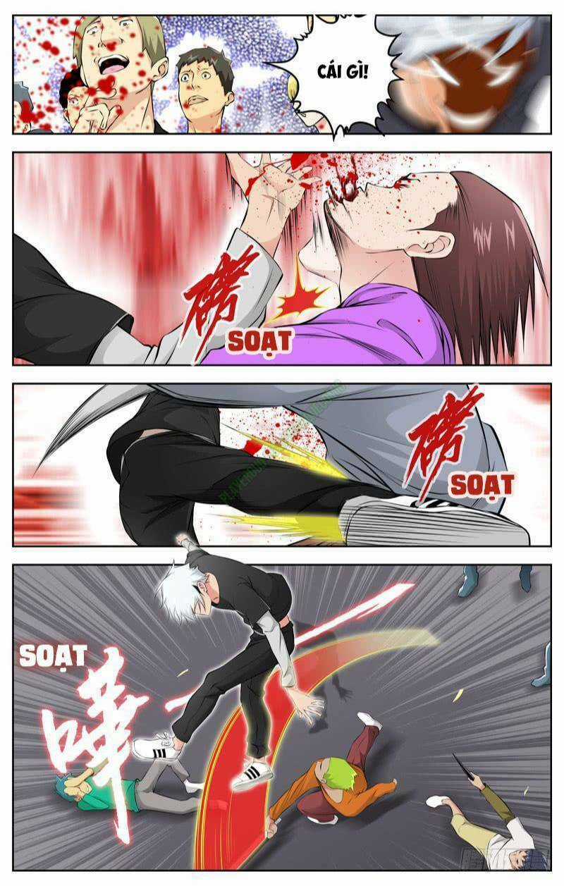 Sát Thủ Bạch Linh - Chapter 71 - Trang 6