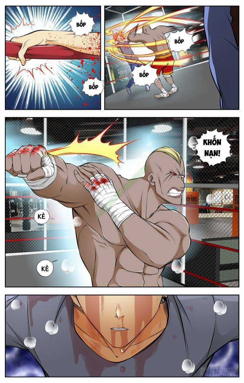 Sát Thủ Bạch Linh - Chapter 74 - Trang 5