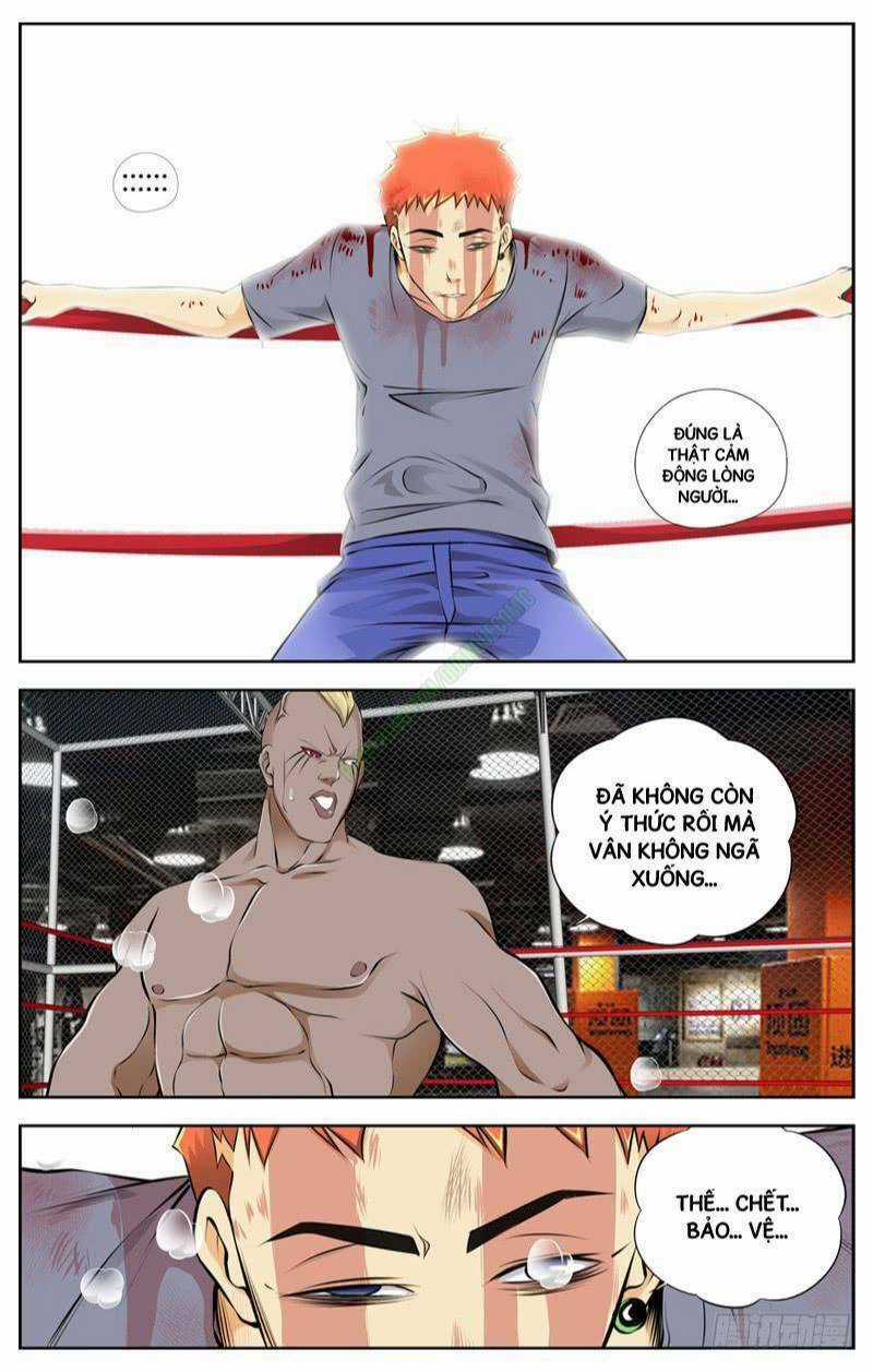 Sát Thủ Bạch Linh - Chapter 74 - Trang 6