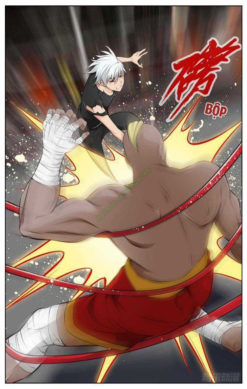 Sát Thủ Bạch Linh - Chapter 75 - Trang 7