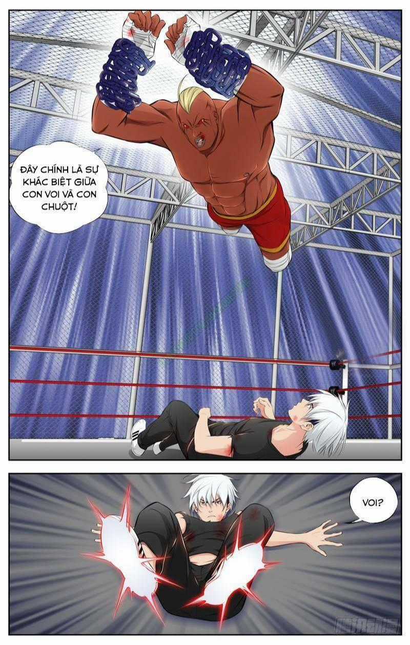 Sát Thủ Bạch Linh - Chapter 77 - Trang 2