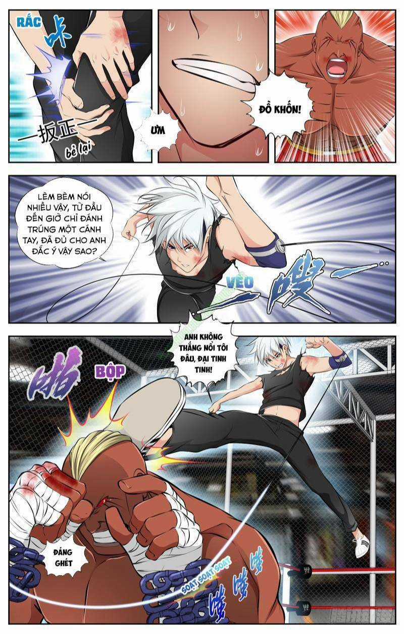 Sát Thủ Bạch Linh - Chapter 77 - Trang 4