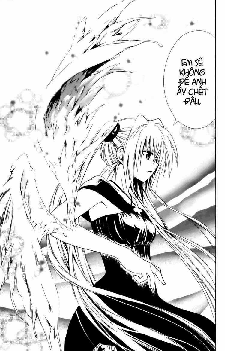 Sát Thủ Mèo Đen - Chapter 100 - Trang 19