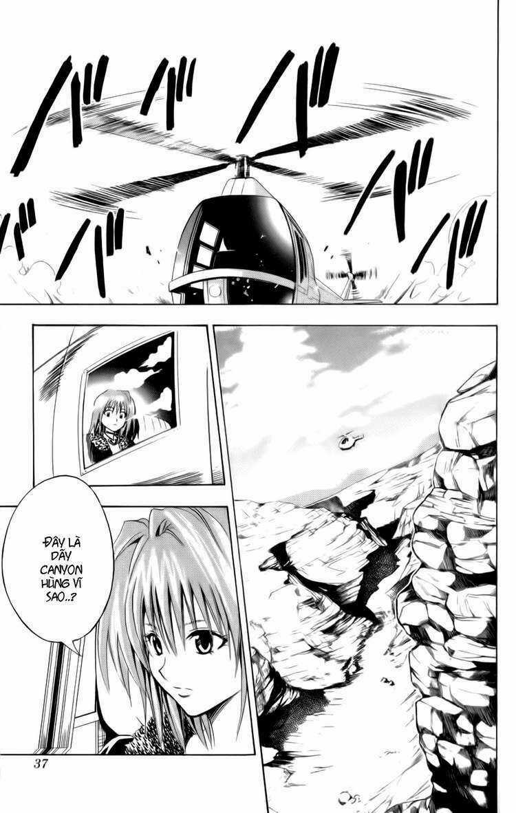 Sát Thủ Mèo Đen - Chapter 105 - Trang 12