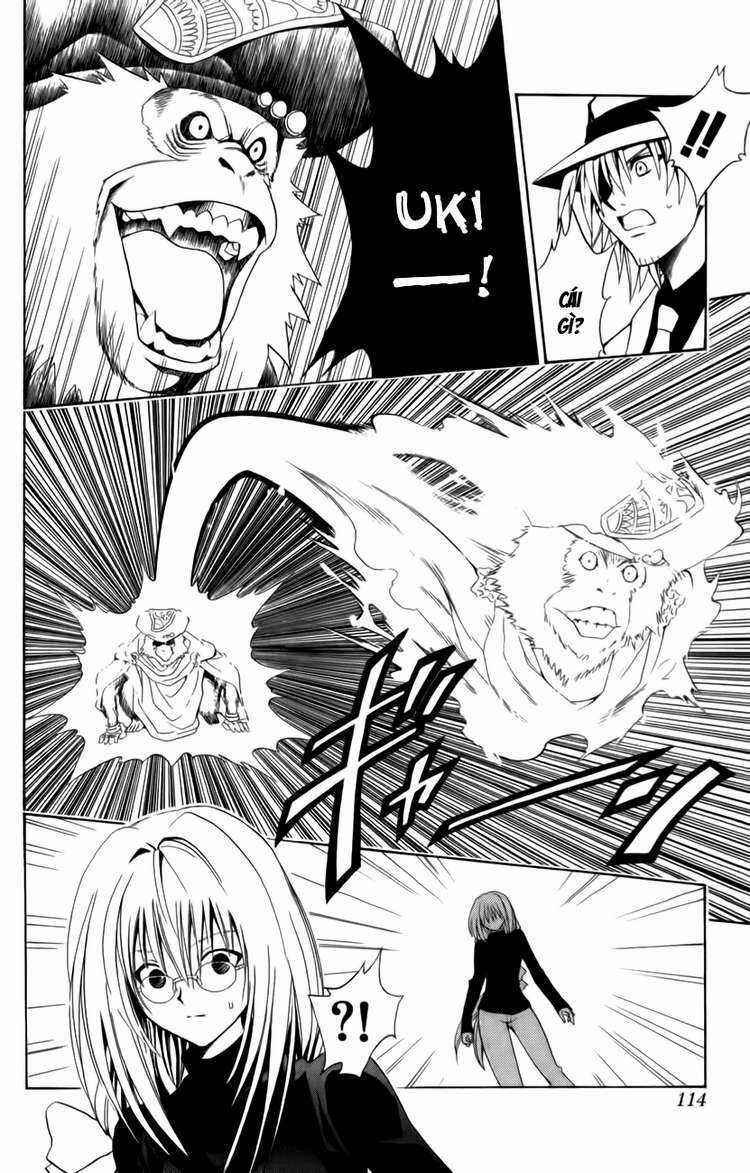 Sát Thủ Mèo Đen - Chapter 109 - Trang 11