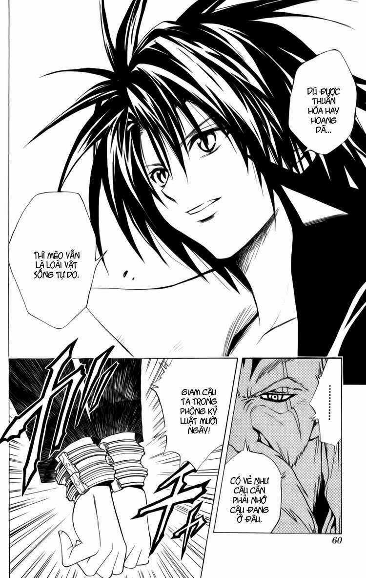 Sát Thủ Mèo Đen - Chapter 116 - Trang 13