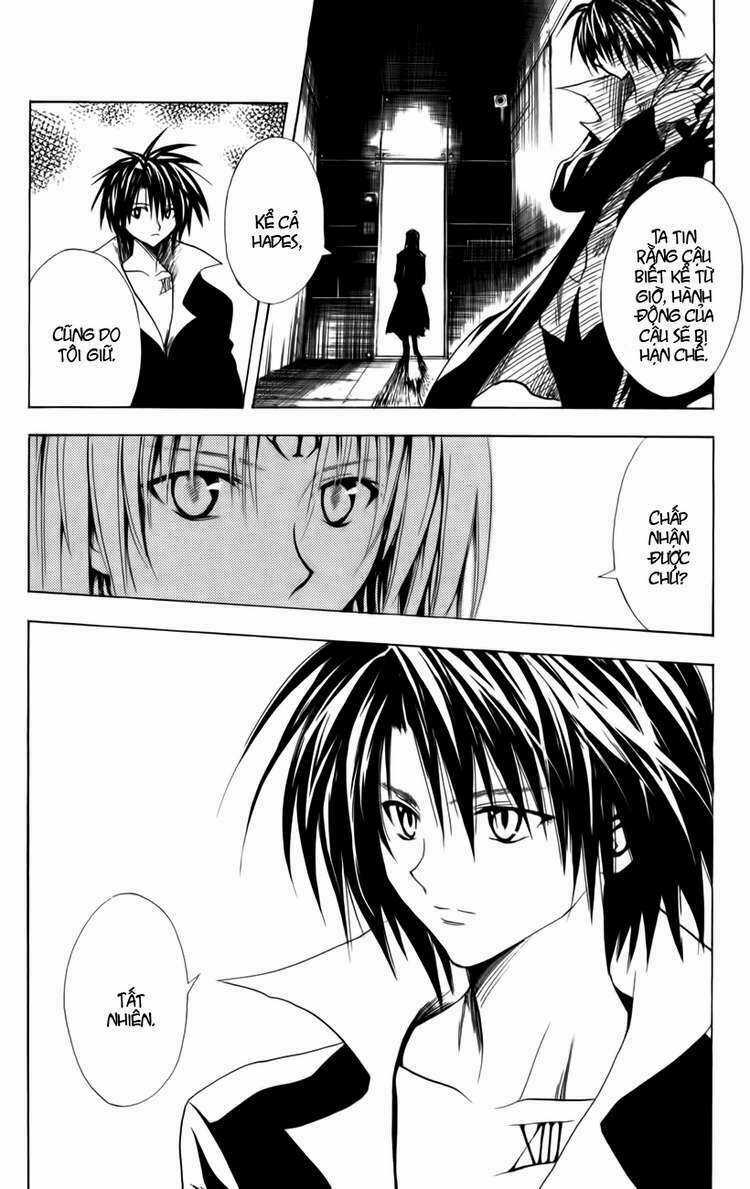 Sát Thủ Mèo Đen - Chapter 117 - Trang 3