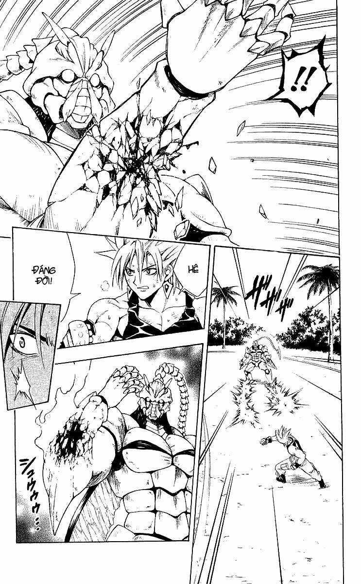 Sát Thủ Mèo Đen - Chapter 150 - Trang 12