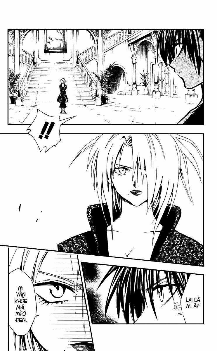 Sát Thủ Mèo Đen - Chapter 153 - Trang 5