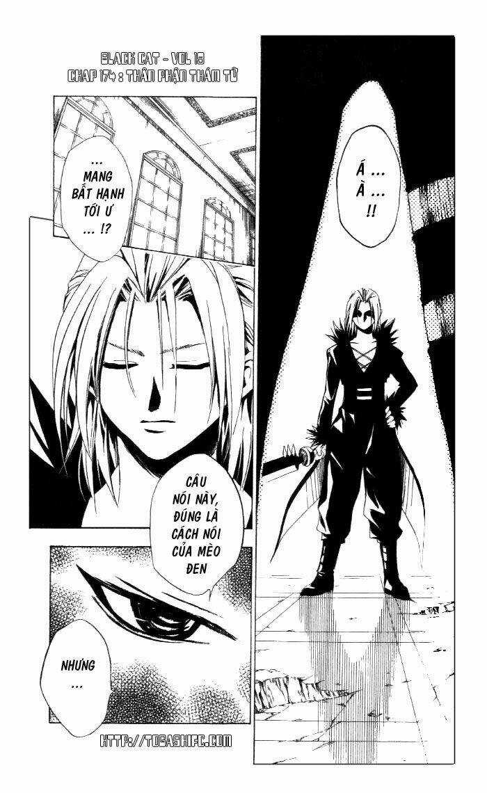 Sát Thủ Mèo Đen - Chapter 174 - Trang 7