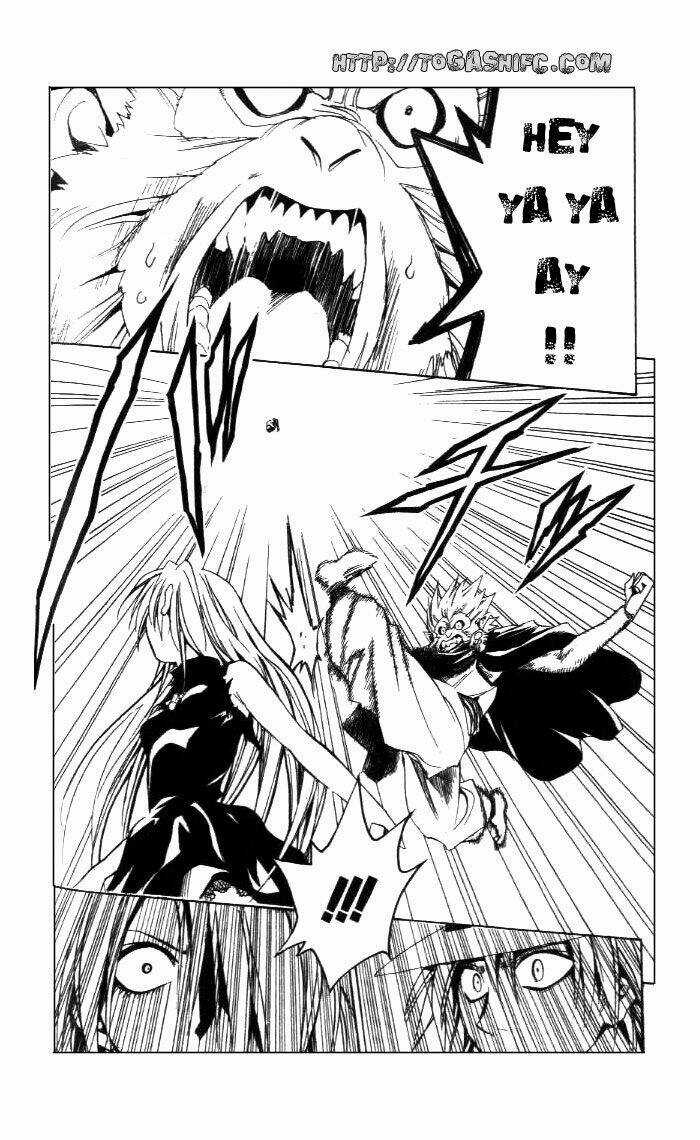 Sát Thủ Mèo Đen - Chapter 181 - Trang 14