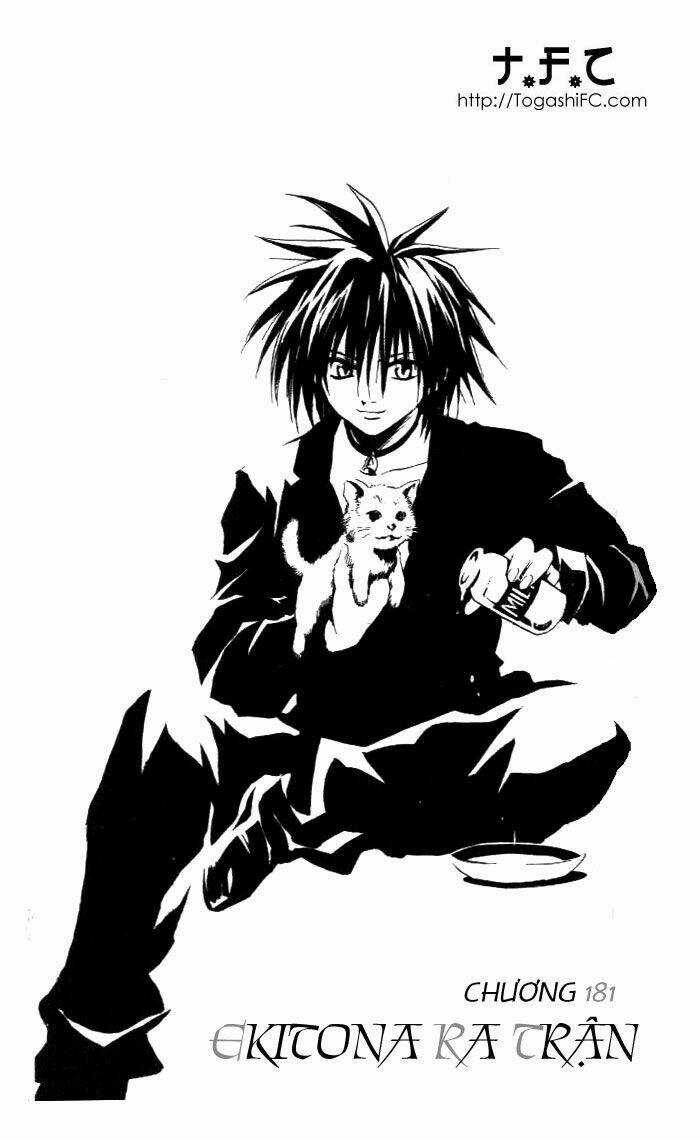 Sát Thủ Mèo Đen - Chapter 181 - Trang 3