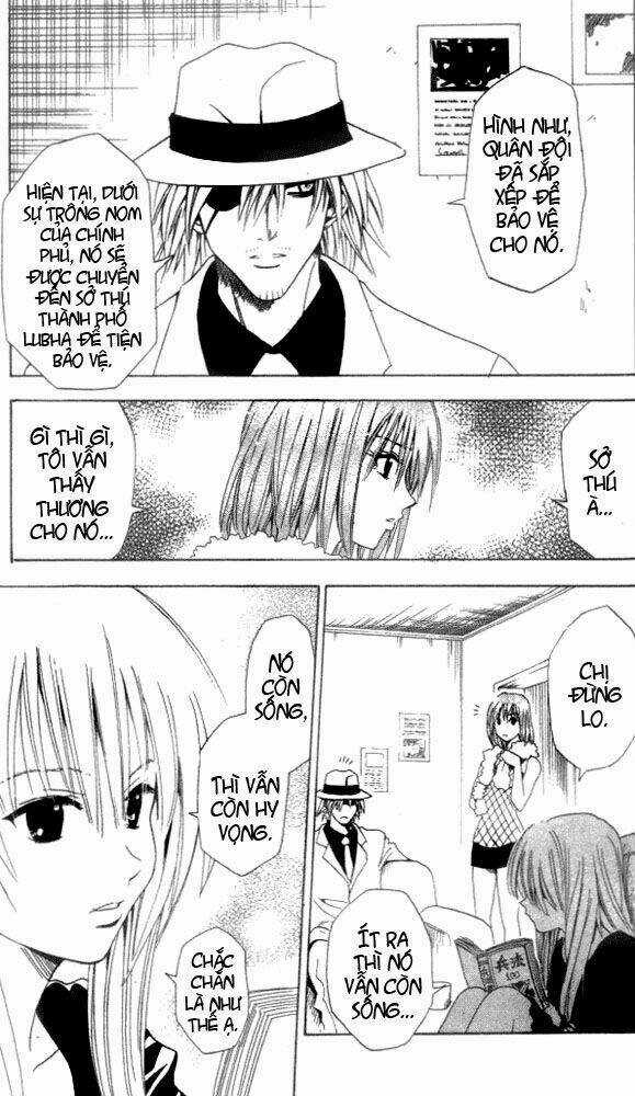 Sát Thủ Mèo Đen - Chapter 38 - Trang 14