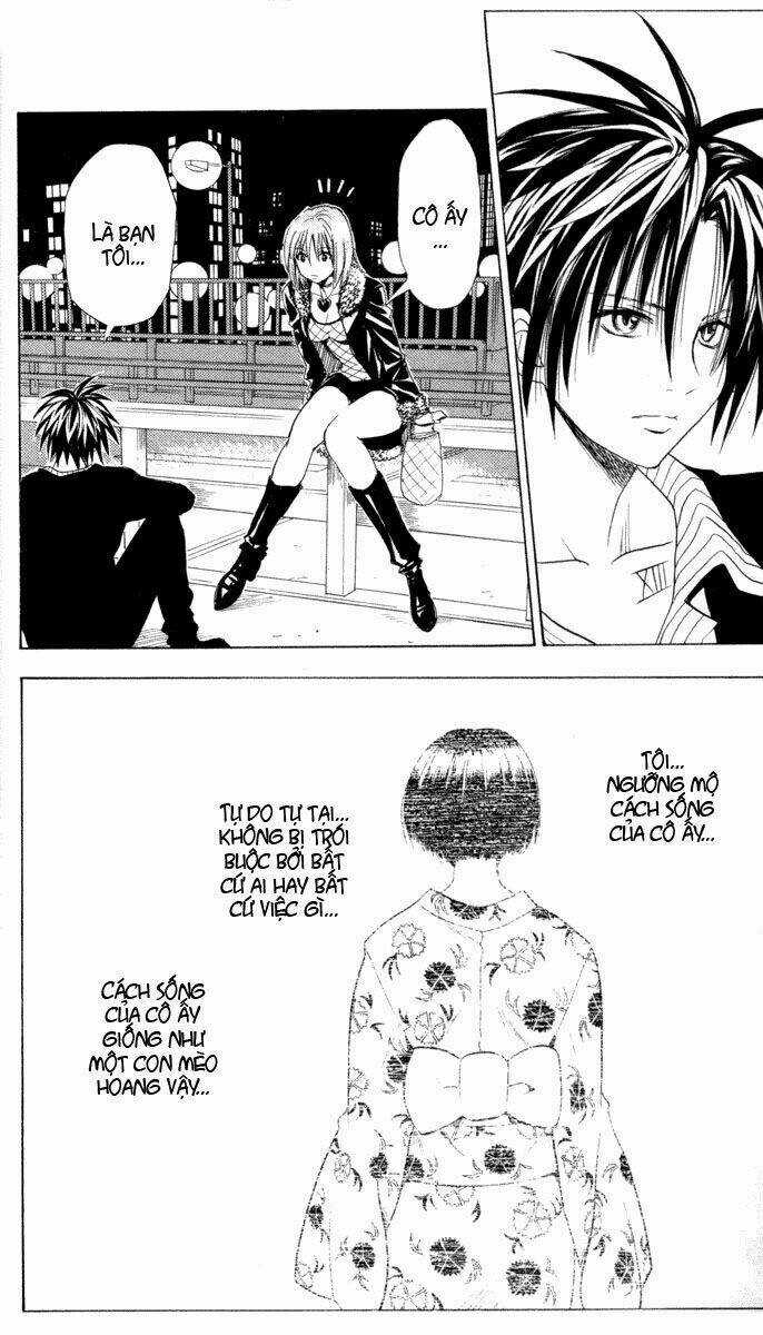 Sát Thủ Mèo Đen - Chapter 39 - Trang 19