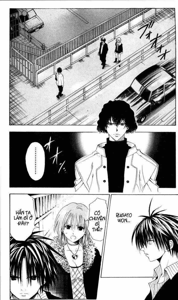 Sát Thủ Mèo Đen - Chapter 39 - Trang 7