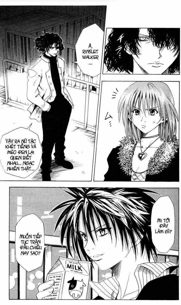 Sát Thủ Mèo Đen - Chapter 39 - Trang 8