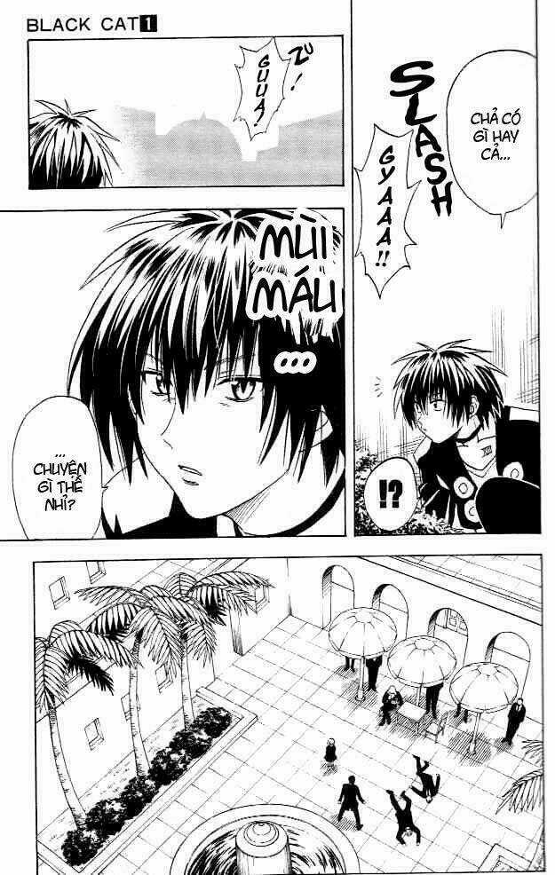 Sát Thủ Mèo Đen - Chapter 5 - Trang 12