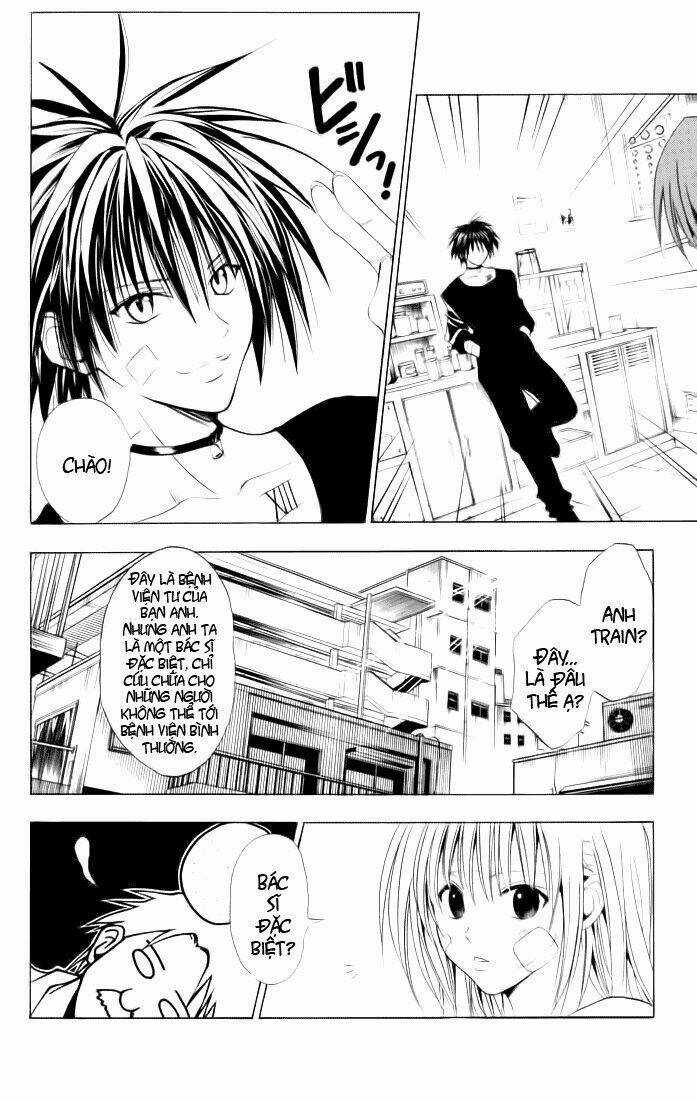 Sát Thủ Mèo Đen - Chapter 52 - Trang 7