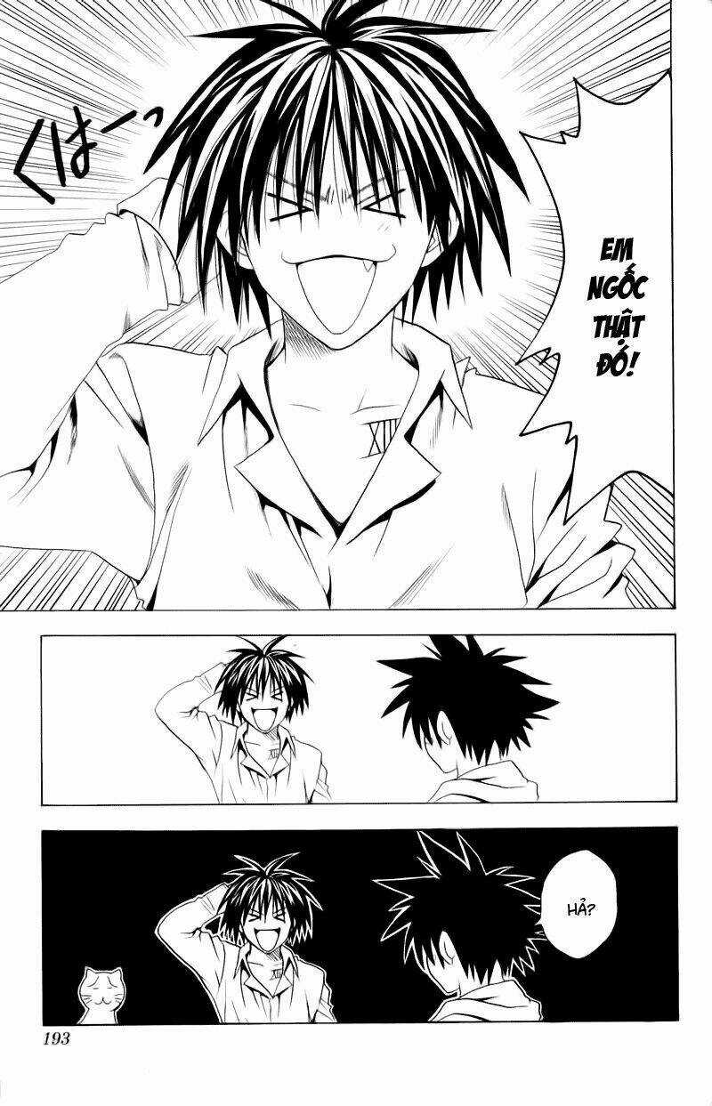 Sát Thủ Mèo Đen - Chapter 67 - Trang 12