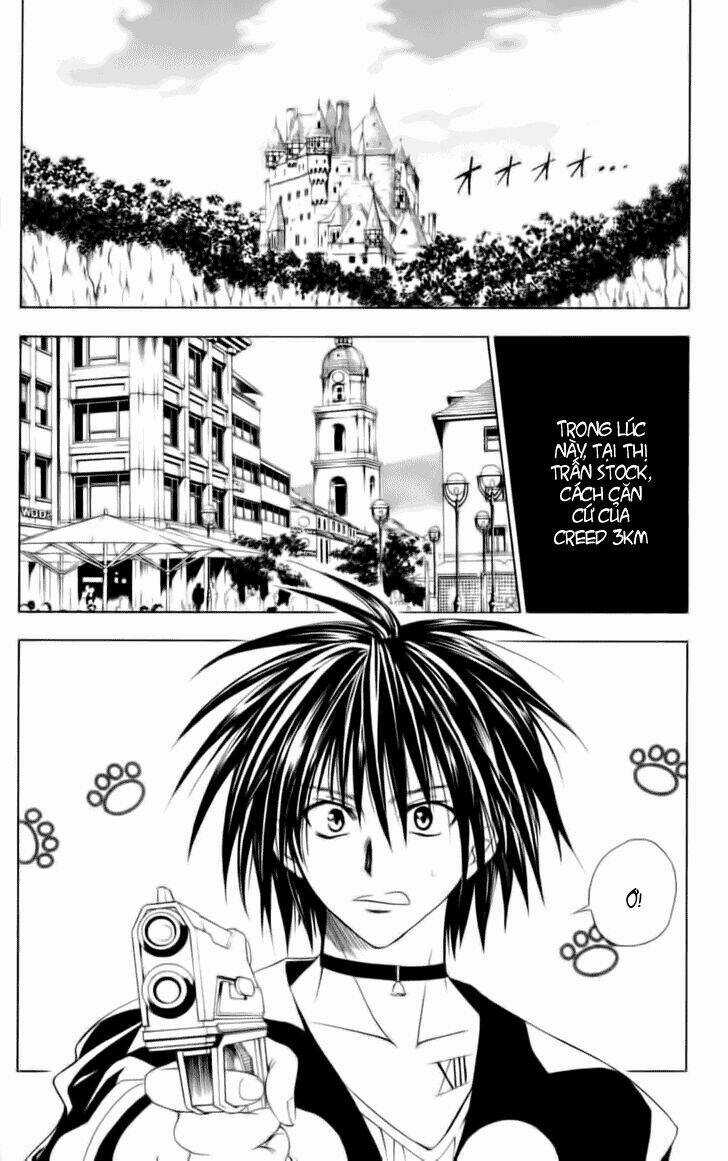 Sát Thủ Mèo Đen - Chapter 74 - Trang 13