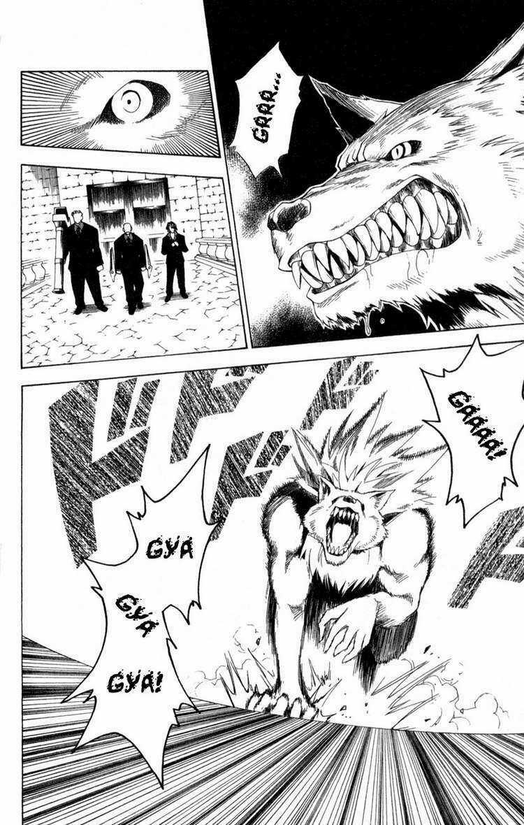 Sát Thủ Mèo Đen - Chapter 77 - Trang 14