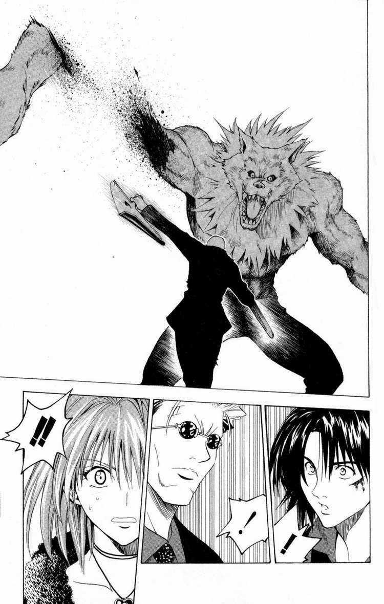 Sát Thủ Mèo Đen - Chapter 77 - Trang 17